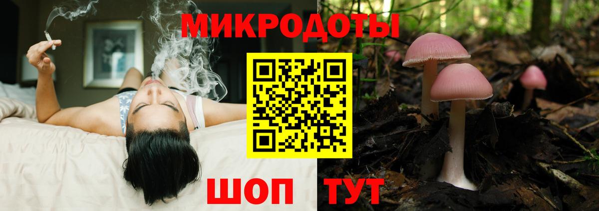 Галлюциногенные грибы Psilocybine cubensis Сатка
