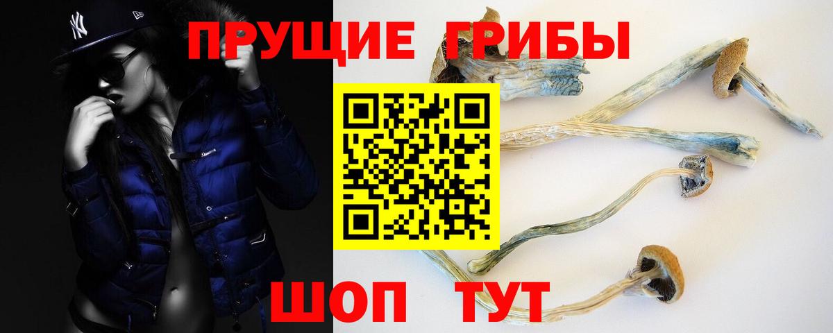 Сатка  закладки  Вход с VPN  Псилоцибиновые грибы GOLDEN TEACHER 